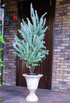 m67450460600_1.jpg?1717674435