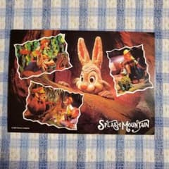TDL 東京ディズニーランド うさぎどん スプラッシュマウンテン ポスト