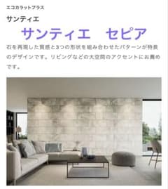 LIXILエコカラットプラス サンティエ 606×303角平 （レリーフA