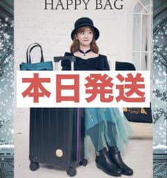 エルサ アナ雪 コラボ しまむら ちはる ハッピーバック キャリーケース