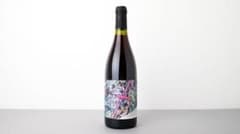 m76395732008_1.jpg?1757300224