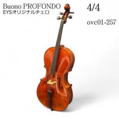 m71702047322_1.jpg?1721636456