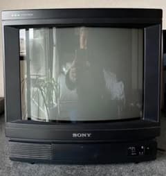 m72033454428_1.jpg?1653013487