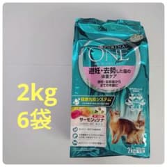 m86447034892_1.jpg?1725799318