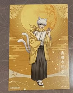 ドクターストーン 百鬼夜行 西園寺羽京 - メルカリ