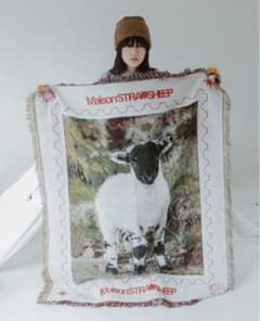 m91272499878_1.jpg?1718188939