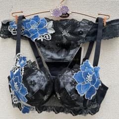 ワコール サルート86G【新品】リボンの騎士ブラE70&ソングL セットGY