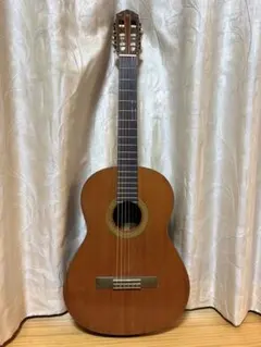 2026年最新】ジャパンビンテージ アコースティックギターの人気