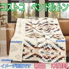 2026年最新】コストコ ブランケット ペンドルトンの人気アイテム