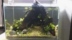 2026年最新】ada アクアスカイ 45の人気アイテム - メルカリ