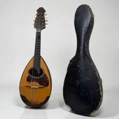 2026年最新】落合マンドリンの人気アイテム - メルカリ