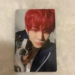 ENHYPEN アンケート トレカ JAKE ジェイク - メルカリ