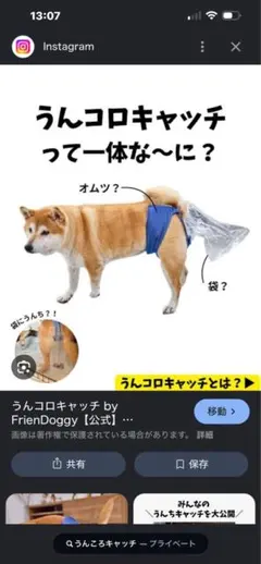 2026年最新】うんコロキャッチの人気アイテム - メルカリ