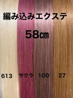 2026年最新】人毛 編み込みの人気アイテム - メルカリ