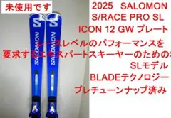 2026年最新】SALOMON S/RACE PRO SLの人気アイテム - メルカリ
