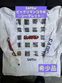 2026年最新】Sapeur ビックリマン シークレットの人気アイテム - メルカリ