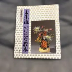 2026年最新】未生流、の人気アイテム - メルカリ