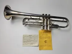 2026年最新】トランペット本体の人気アイテム - メルカリ