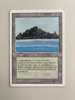 2026年最新】デュアルランドの人気アイテム - メルカリ