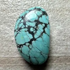 2026年最新】スパイダーウェブターコイズの人気アイテム - メルカリ