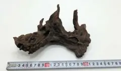 2026年最新】ホーンウッド adaの人気アイテム - メルカリ