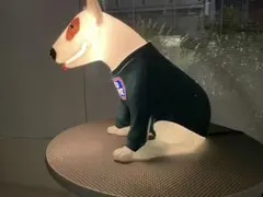 2026年最新】バド犬の人気アイテム - メルカリ