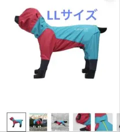 2026年最新】レインドッグガードの人気アイテム - メルカリ