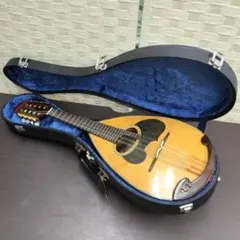 2026年最新】マンドリンM-60の人気アイテム - メルカリ