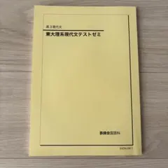 2026年最新】問題集 東大 鉄緑会 現代文の人気アイテム - メルカリ