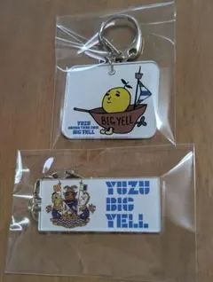 2026年最新】ゆず グッズの人気アイテム - メルカリ