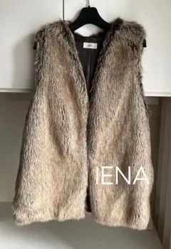 2026年最新】フェイクファーベスト ienaの人気アイテム - メルカリ