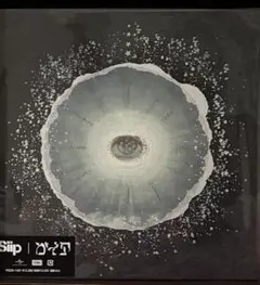 2026年最新】siip 完全生産限定の人気アイテム - メルカリ