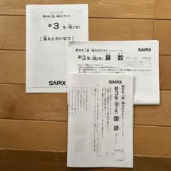 2026年最新】Sapix 入室テスト 新1年の人気アイテム - メルカリ