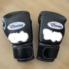 2026年最新】ウイニング グローブ 8オンスの人気アイテム - メルカリ