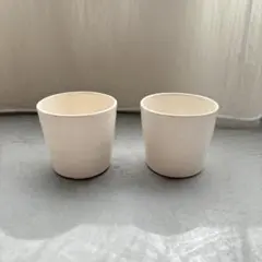 2026年最新】岡田直人 カップの人気アイテム - メルカリ
