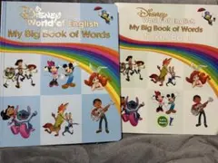 2026年最新】dwe big book of wordsの人気アイテム - メルカリ