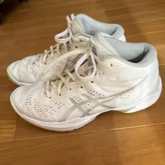 2026年最新】ゲルフープV16の人気アイテム - メルカリ