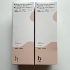 2026年最新】ビーリス エアリーカラーリングフォームの人気アイテム