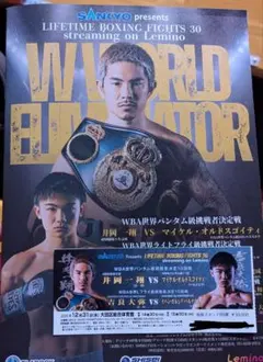 2026年最新】井岡一翔の人気アイテム - メルカリ