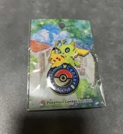 2026年最新】ポケセン ナゴヤ ピンズの人気アイテム - メルカリ