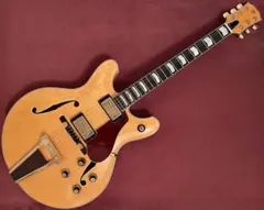 2026年最新】ヤマハ sa-50 ギターの人気アイテム - メルカリ