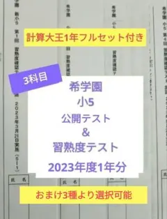 2026年最新】希学園 公開テスト 小5の人気アイテム - メルカリ