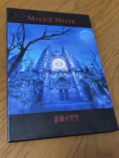 2026年最新】malice mizer 薔薇の聖堂の人気アイテム - メルカリ