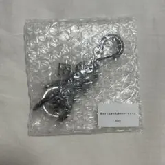 2026年最新】hazama キーホルダー・キーリングの人気アイテム - メルカリ