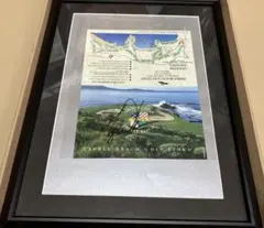 2026年最新】タイガーウッズ サインの人気アイテム - メルカリ