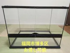 2026年最新】グラステラリウム4530の人気アイテム - メルカリ