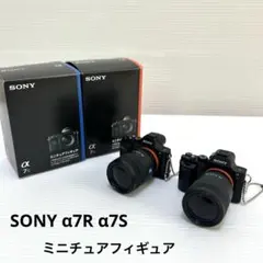 2026年最新】sony α ミニチュアの人気アイテム - メルカリ