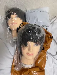 2026年最新】国家試験本番用カットウィッグの人気アイテム - メルカリ