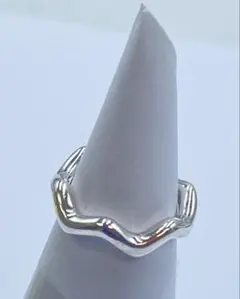 2026年最新】ティファニー パロマ・ピカソ ジグザグの人気アイテム