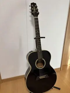 2026年最新】Takamine PT-105の人気アイテム - メルカリ